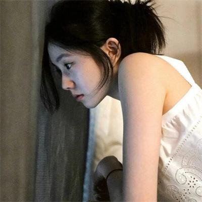 狐狸的故事