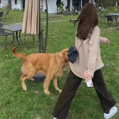 爱之情照